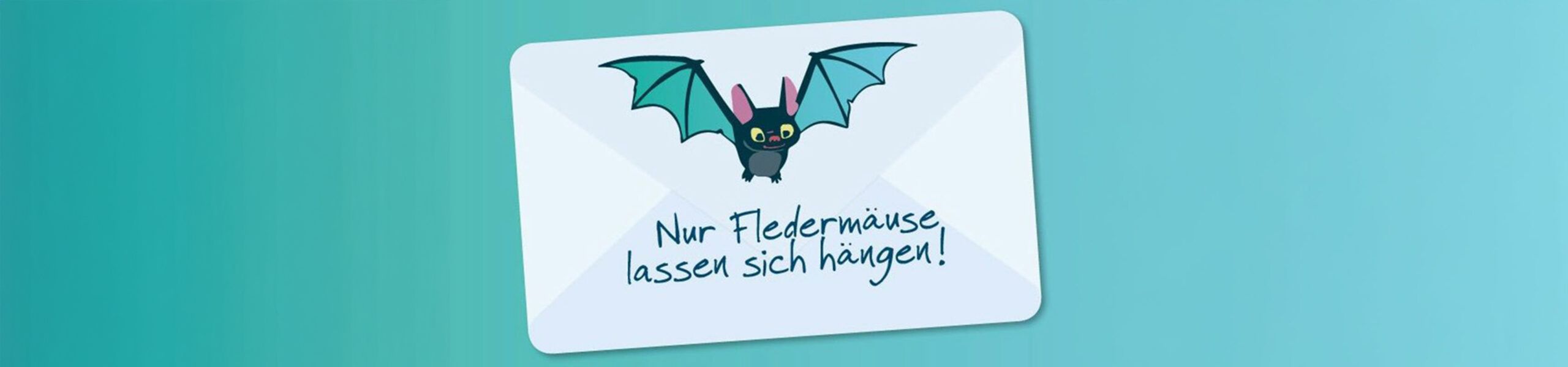 fvkk slider newsletter v2