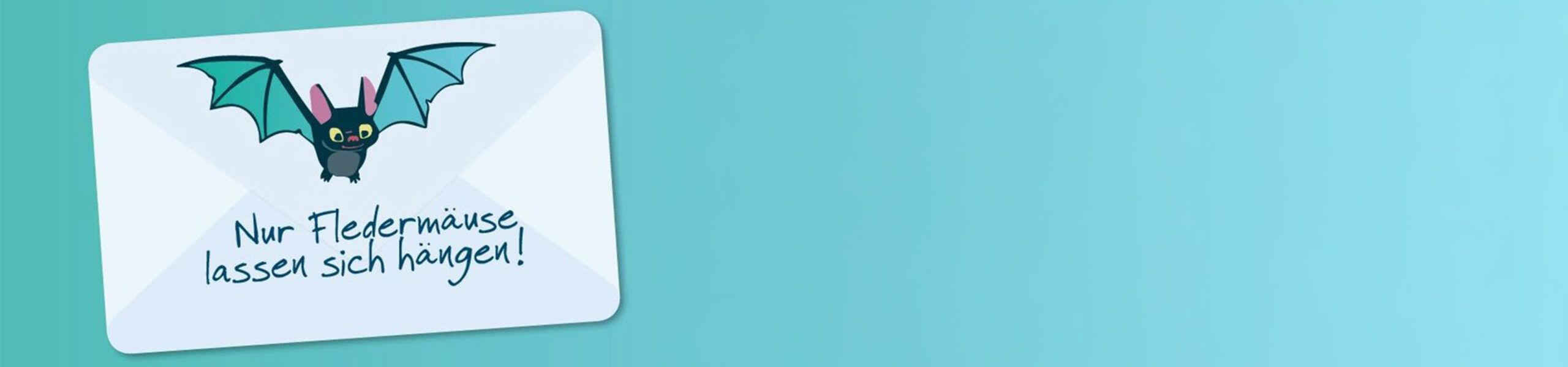 fvkk slider newsletter scaled