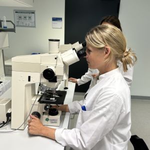 32 FM 2025 Drittmittel ExpOnk Bild 3 scaled 05fd5320