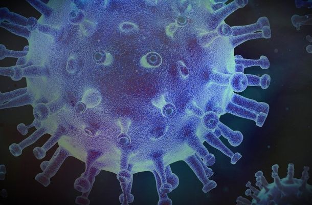 virus 4937609 1280 neu 0c020b5f