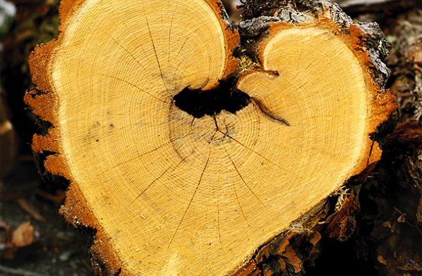 natural heart1 25ef269e
