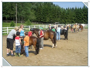 bild_reiten1