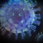 virus 4937609 1280 neu