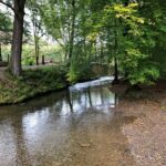 Wandern 7 rotated 2