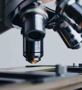 fkk informationen forschungsfoerderung menue
