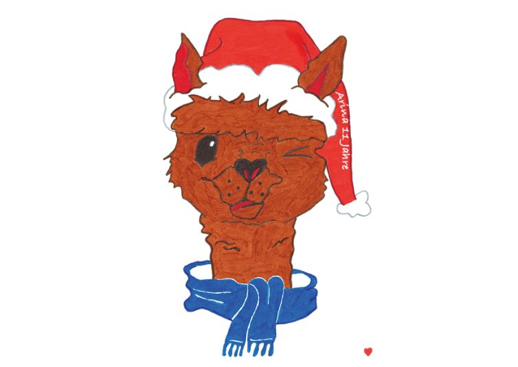 FoeVe Weihnachten 2024 Arina 11 02878769