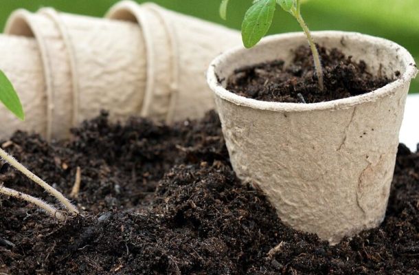 floor 7049278 1280 e1718103217459 021009a3