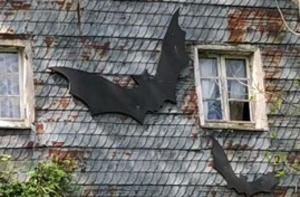 Screenshot 2022 05 11 110146 2843cb13