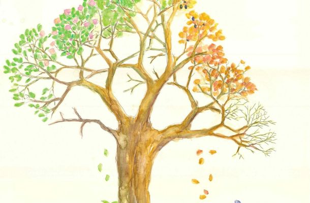 Ressourcenbaum scaled e1702050120661 5d40776c