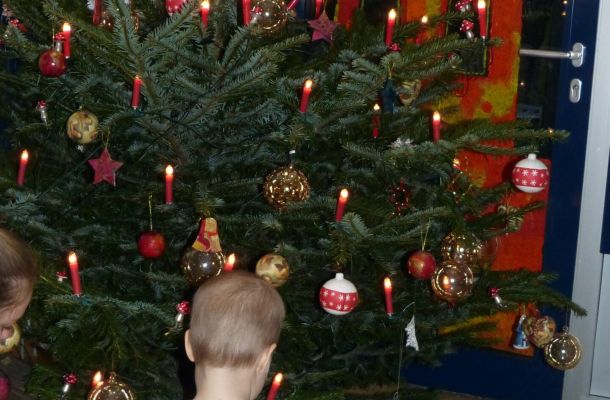 P1150142 e1482852343216 scaled a289218d