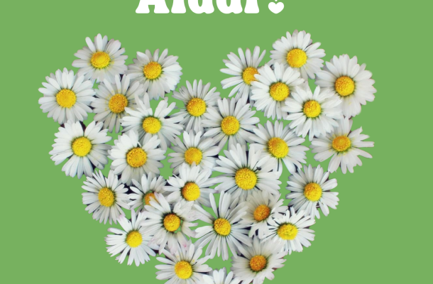 Blumenberger Gaensebloemcher bbd3f92c